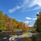 Illustration for article titled Fall Photos 1